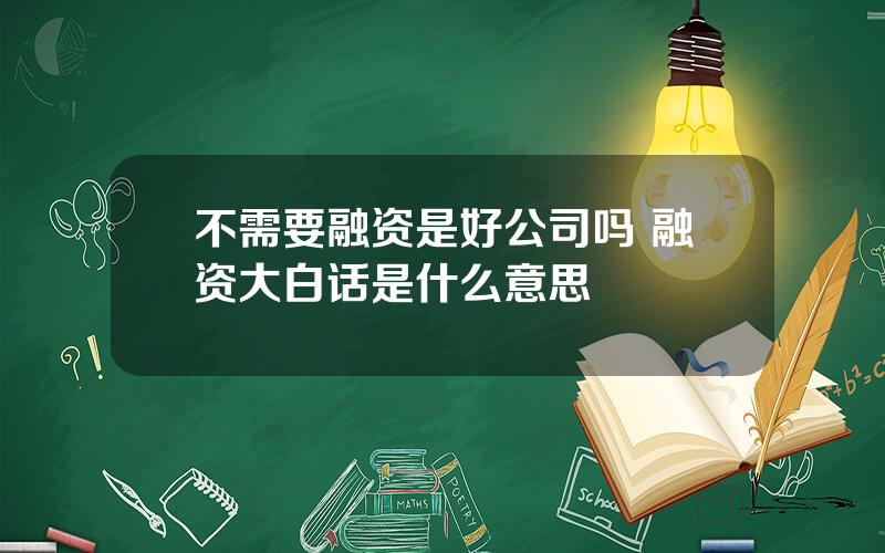 不需要融资是好公司吗 融资大白话是什么意思